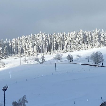 Im Salzgaessle Schonach im Schwarzwald Exterior photo