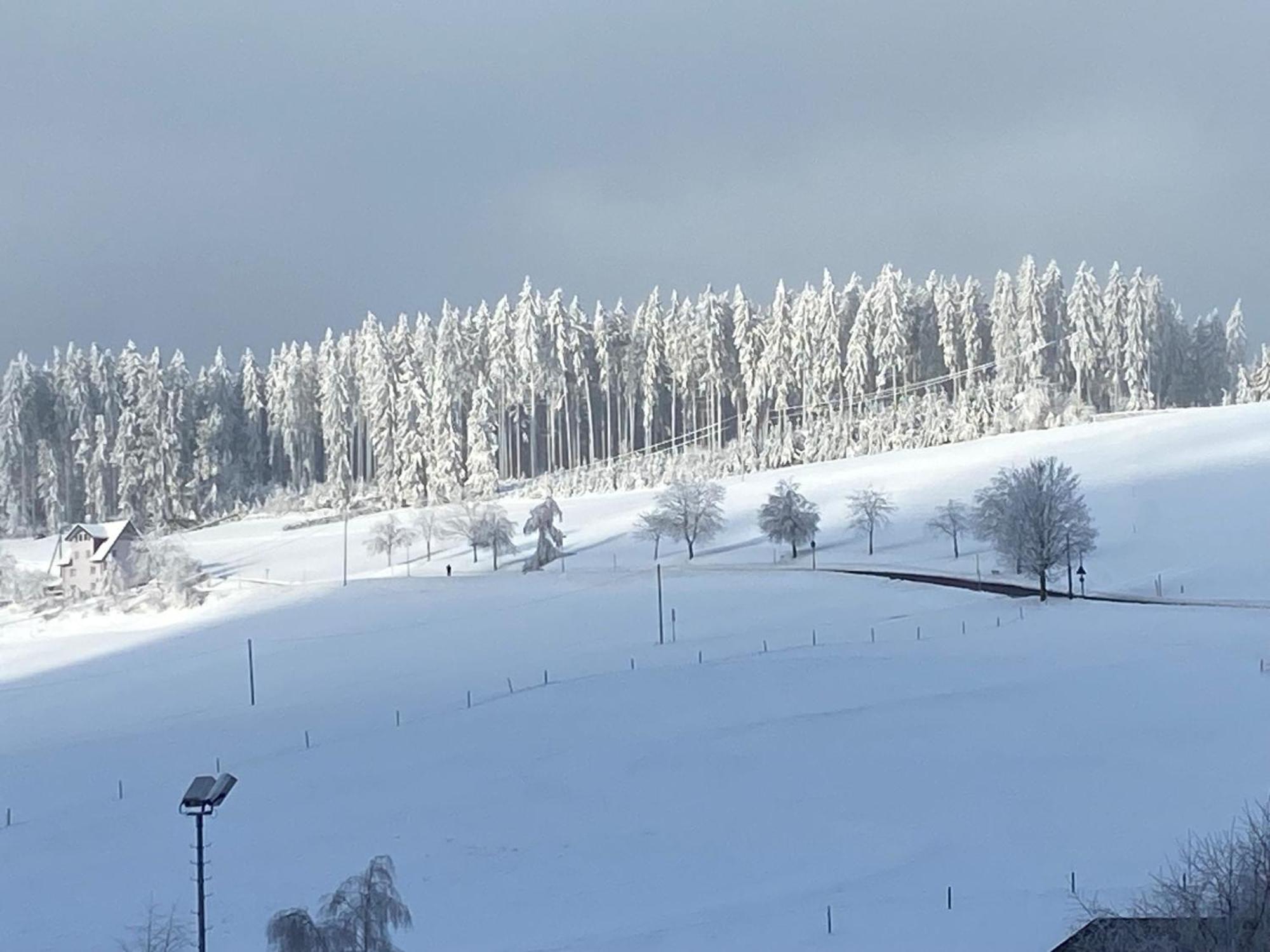 Im Salzgaessle Schonach im Schwarzwald Exterior photo