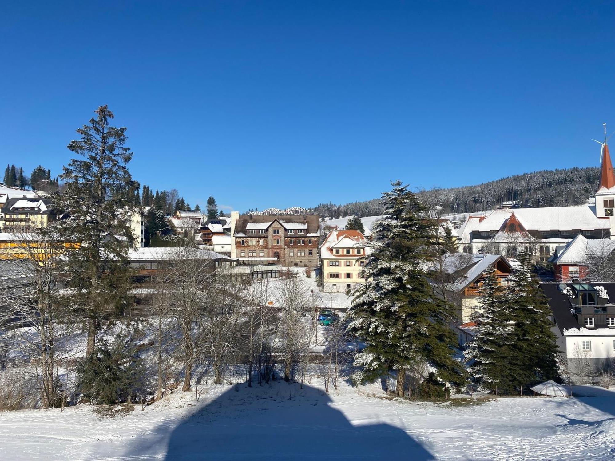 Im Salzgaessle Schonach im Schwarzwald Exterior photo