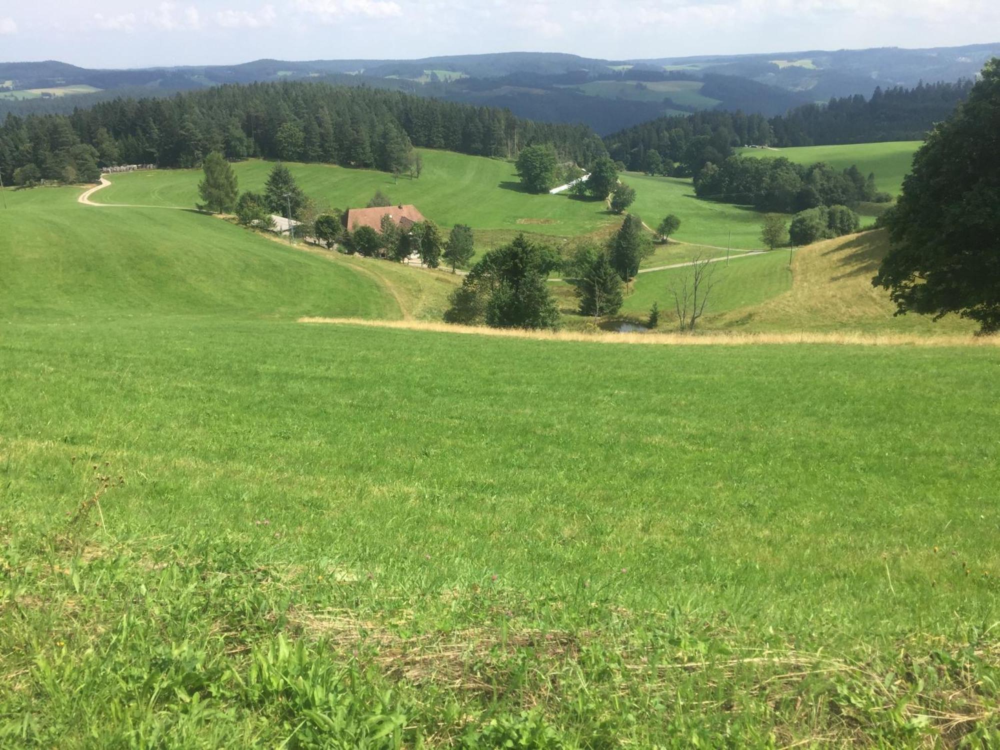 Im Salzgaessle Schonach im Schwarzwald Exterior photo